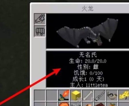我的世界冰火传说给龙穿装备方法图二