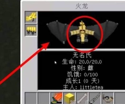 我的世界冰火传说给龙穿装备方法图三