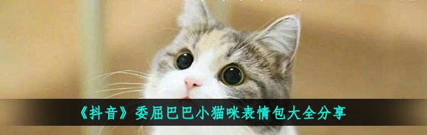 《抖音》委屈巴巴小猫咪表情包大全分享
