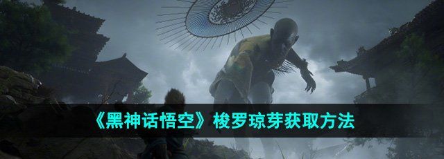 《黑神话悟空》梭罗琼芽获取方法