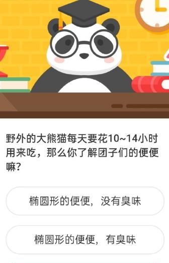 2021《微博》1月8日森林驿站每日一题答案