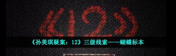 《孙美琪疑案：12》三级线索——蝴蝶标本